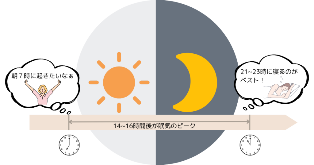 起床から就寝までの時間経過のイメージ図