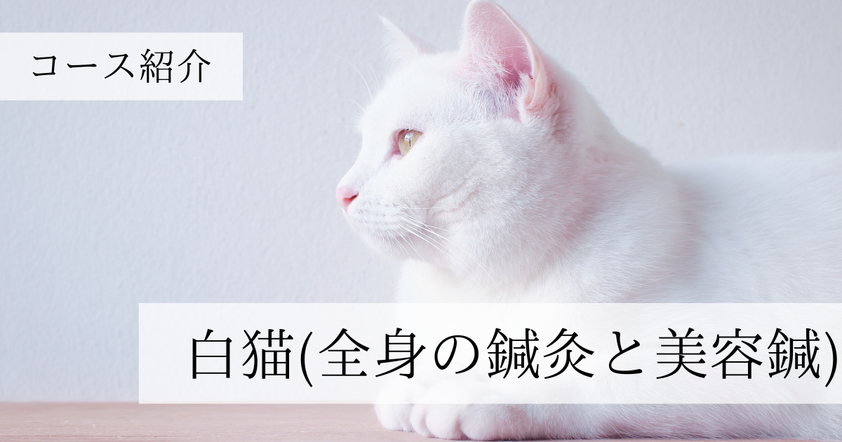 白猫コースのアイキャッチ