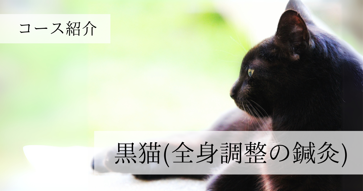 タイトル『眠り猫の黒猫コース』